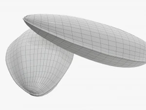 Sunflower seeds 04 3D Model