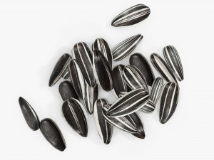 Sunflower seeds 05 Modelo 3D