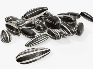 Sunflower seeds 05 3Dモデル
