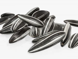 Sunflower seeds 05 3D Model