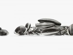 Sunflower seeds 05 3D Model