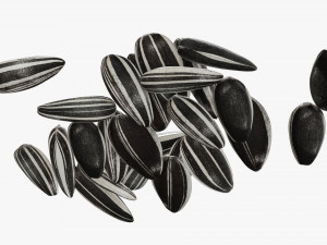 Sunflower seeds 05 3Dモデル