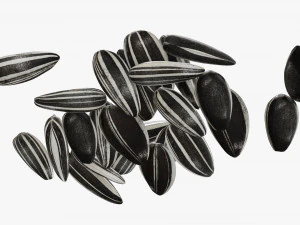 Sunflower seeds 05 3D Model
