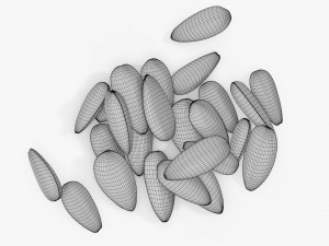 Sunflower seeds 05 3Dモデル