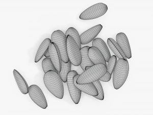 Sunflower seeds 05 3D Model