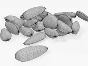 Sunflower seeds 05 3D Model
