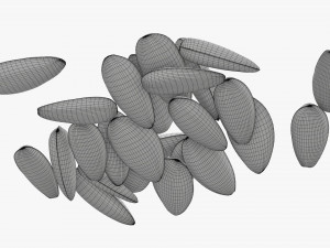 Sunflower seeds 05 3Dモデル