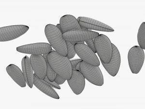 Sunflower seeds 05 3D Model