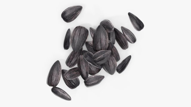 Sunflower seeds 06 3D 모델 .c4d .max .obj .3ds .fbx .stl .blend 
