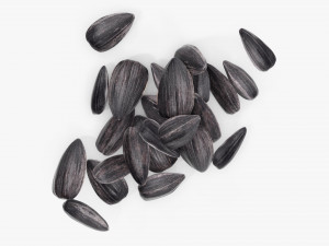 Sunflower seeds 06 Modelo 3D