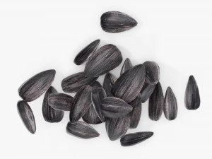 Sunflower seeds 06 3D Model