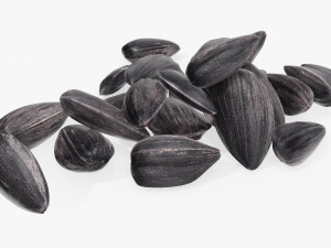 Sunflower seeds 06 3D 모델