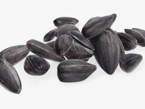 Sunflower seeds 06 3D Model