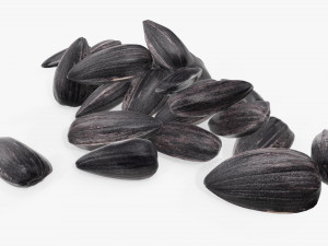 Sunflower seeds 06 3D 모델