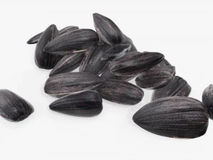 Sunflower seeds 06 3D Model