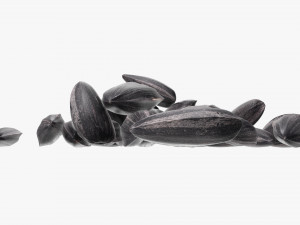 Sunflower seeds 06 3D 모델