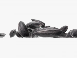 Sunflower seeds 06 3D Model
