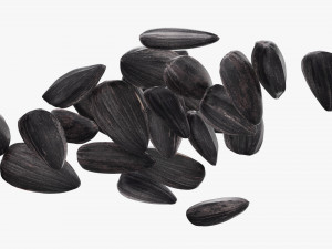Sunflower seeds 06 3D 모델