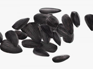 Sunflower seeds 06 3D Model