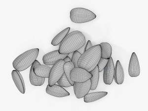 Sunflower seeds 06 3D 모델