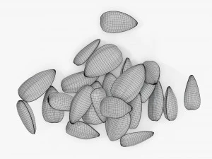 Sunflower seeds 06 3D Model