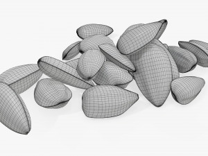 Sunflower seeds 06 3D 모델