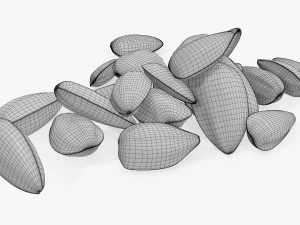 Sunflower seeds 06 3D Model