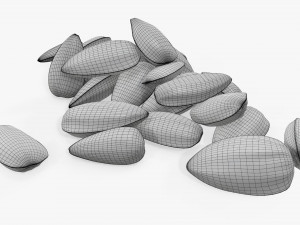 Sunflower seeds 06 3D 모델