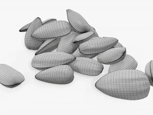 Sunflower seeds 06 3D Model