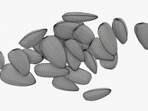 Sunflower seeds 06 3D 모델