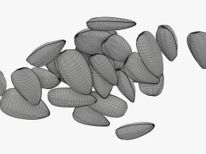 Sunflower seeds 06 3D Model