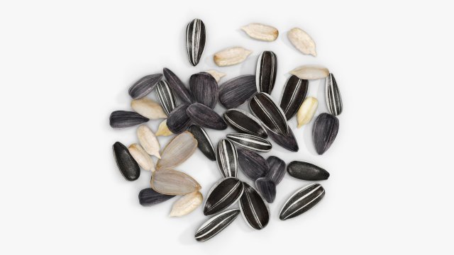 Sunflower seeds 07 Modelo 3D .c4d .max .obj .3ds .fbx .stl .blend 