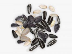 Sunflower seeds 07 Modelo 3D