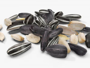 Semillas de girasol 07 Modelo 3D