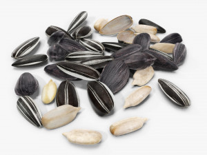 Sunflower seeds 07 Modelo 3D