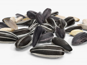 Sunflower seeds 07 Modelo 3D