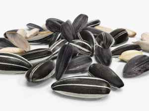 Semillas de girasol 07 Modelo 3D