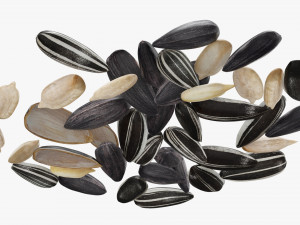 Sunflower seeds 07 Modelo 3D