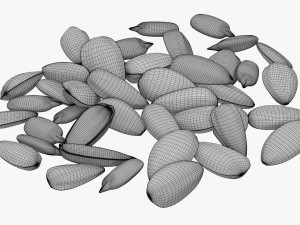 Sunflower seeds 07 Modelo 3D
