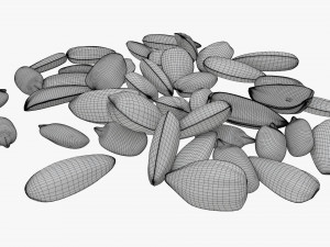 Sunflower seeds 07 Modelo 3D