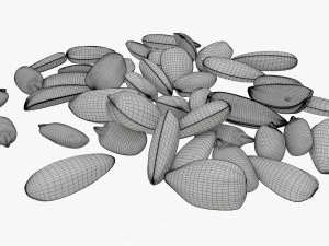 Semillas de girasol 07 Modelo 3D