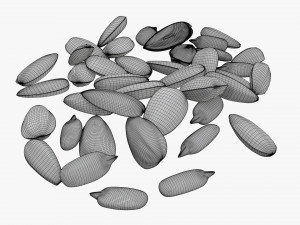 Sunflower seeds 07 Modelo 3D