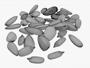 Semillas de girasol 07 Modelo 3D