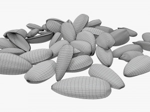 Sunflower seeds 07 Modelo 3D