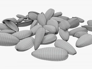 Semillas de girasol 07 Modelo 3D