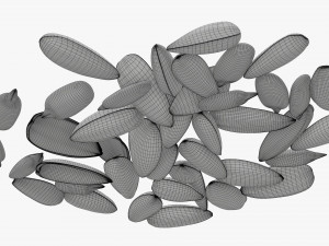 Sunflower seeds 07 Modelo 3D