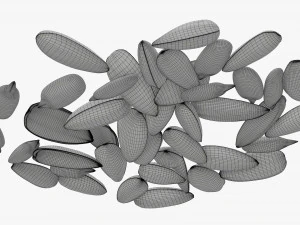 Semillas de girasol 07 Modelo 3D