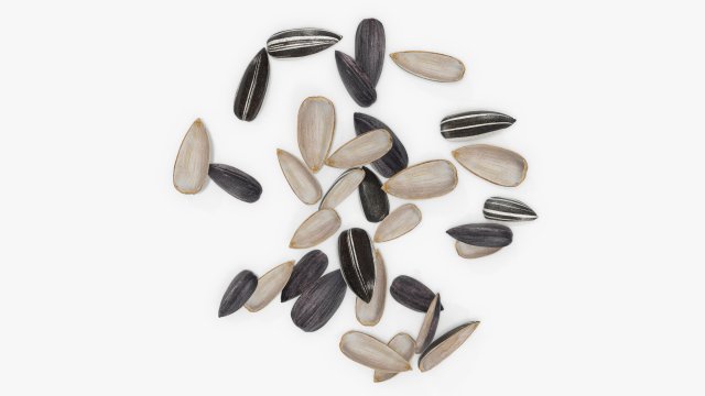 Sunflower seeds 08 Modelo 3D .c4d .max .obj .3ds .fbx .stl .blend 