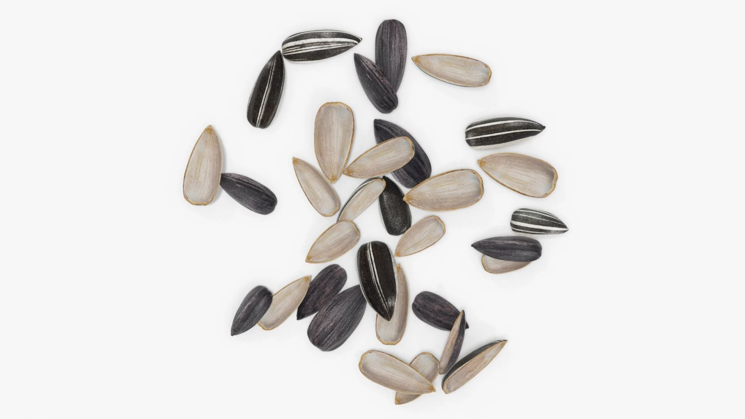 Sunflower seeds 08 3D Model .c4d .max .obj .3ds .fbx .stl .blend