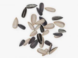 Sunflower seeds 08 Modelo 3D